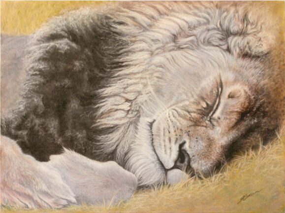 Sleepinglion Lo