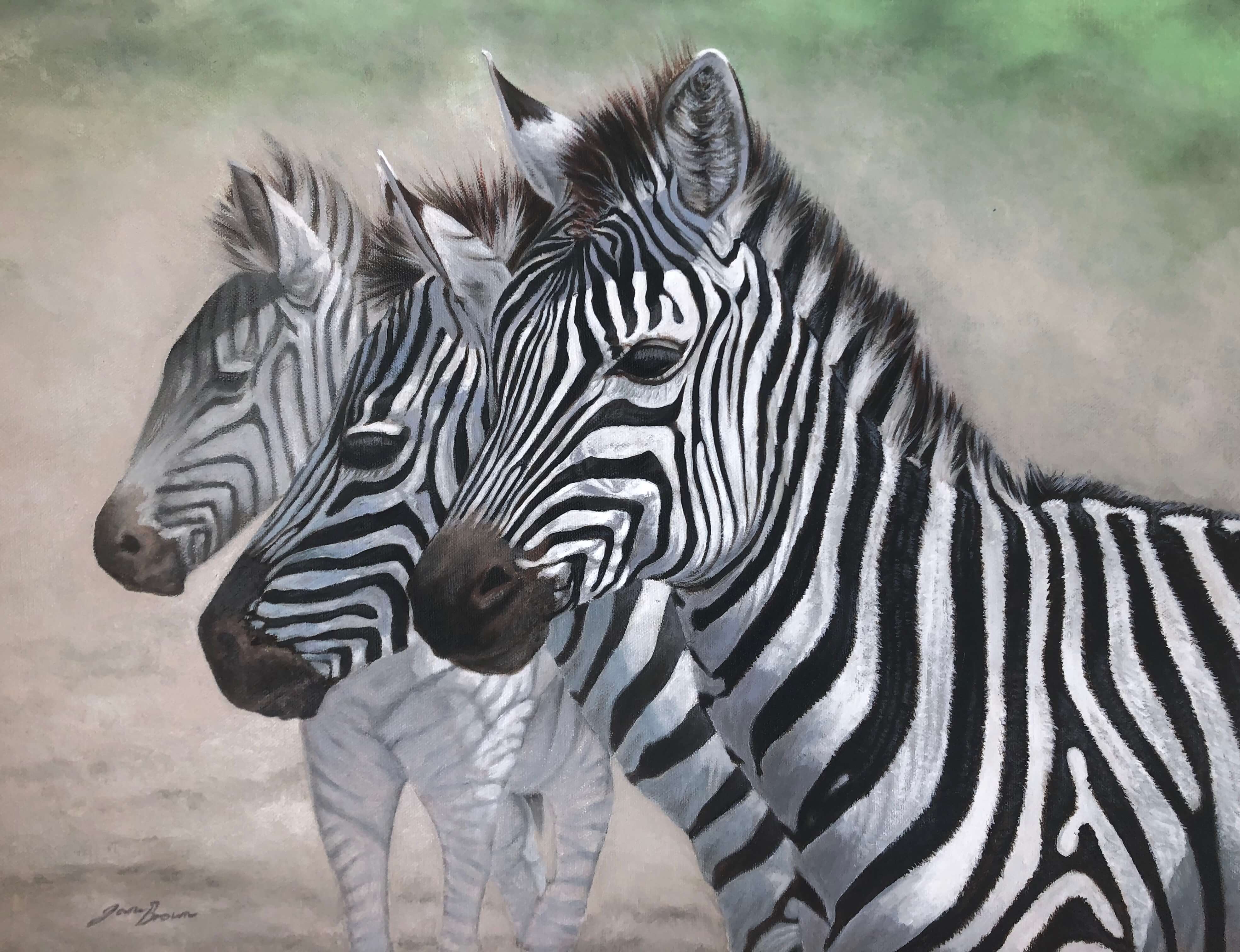 Trio Of Zebras