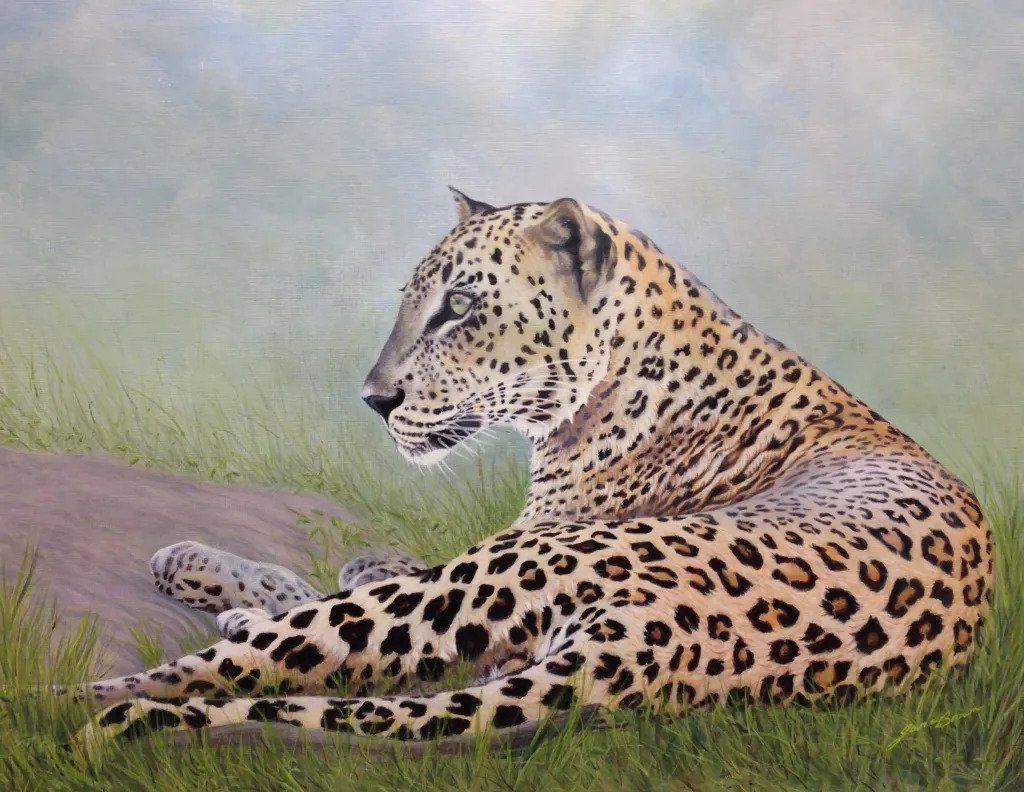 Leopard At Yala Sri Lanka